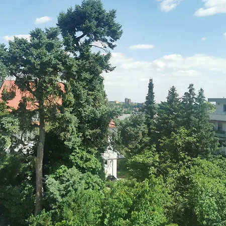 Bergblick Neustadt an der Weinstraße