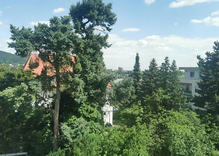 Bergblick Neustadt an der Weinstraße
